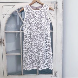 LOFT Lace Dress